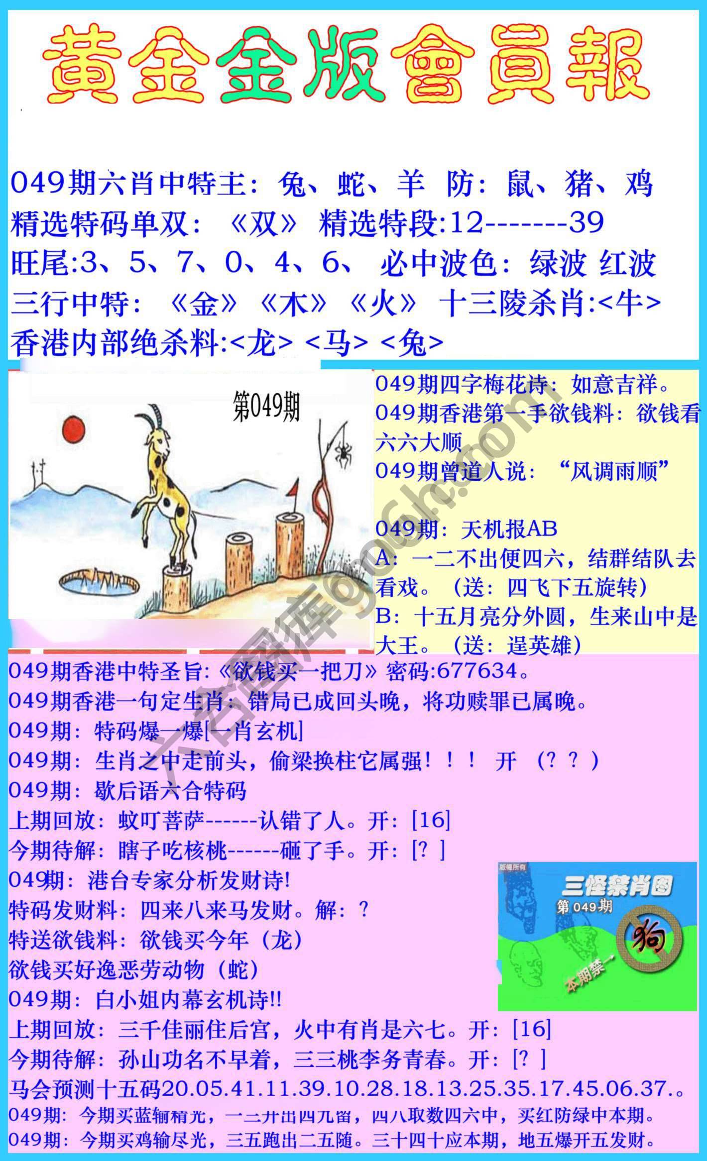 黄金金版会员报