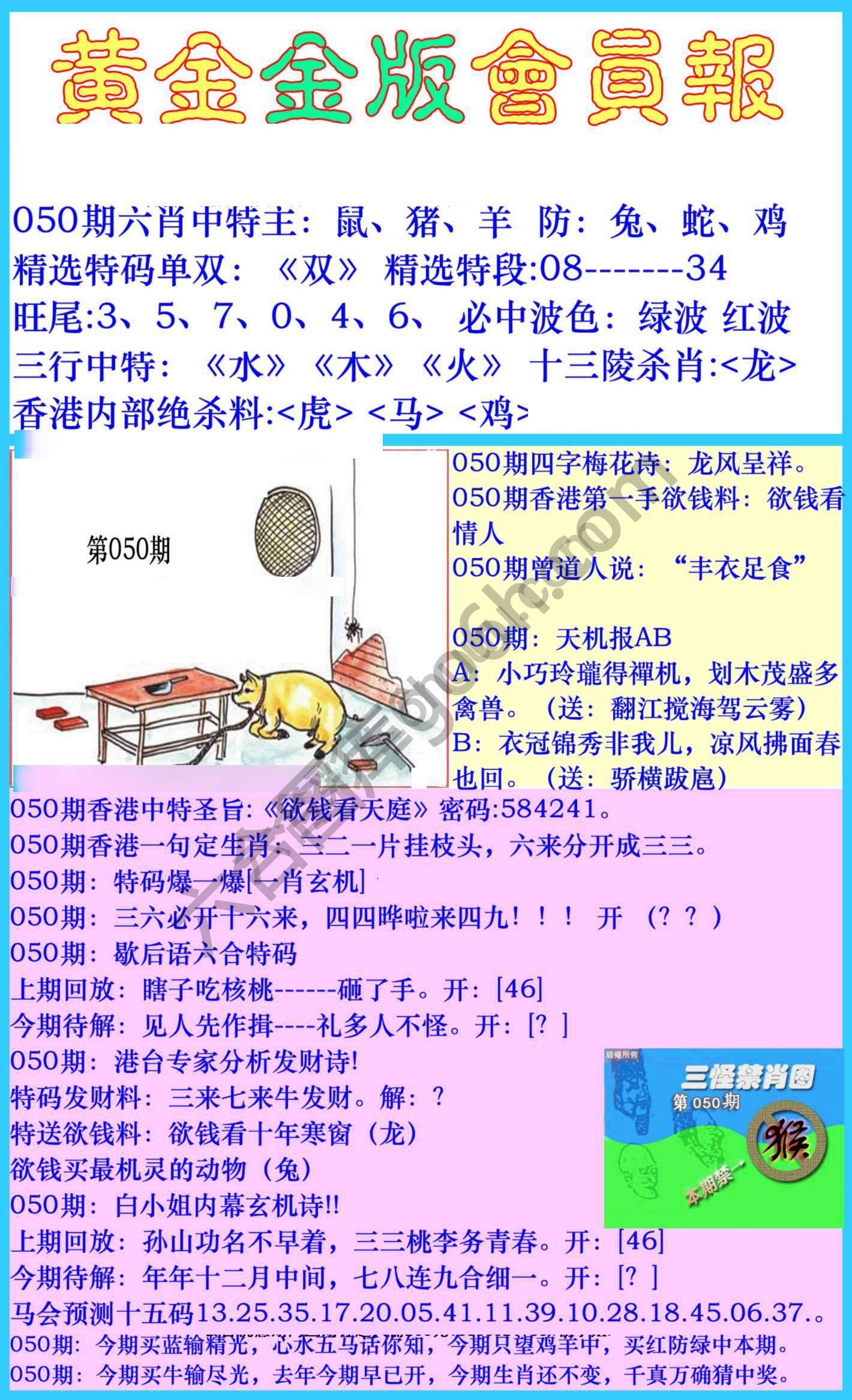 黄金金版会员报