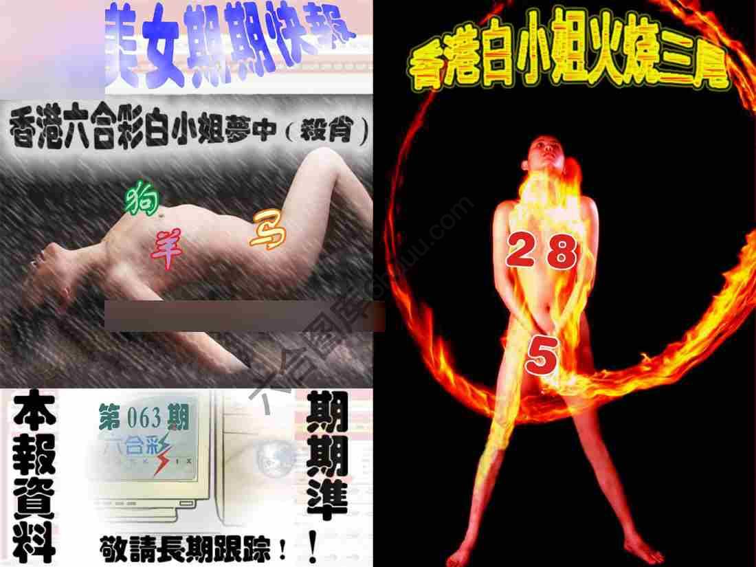 环球美女特码报