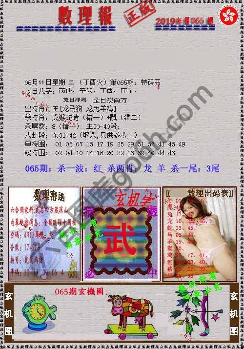 数理报