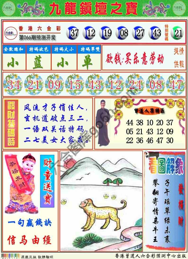 九龙挂牌解特码