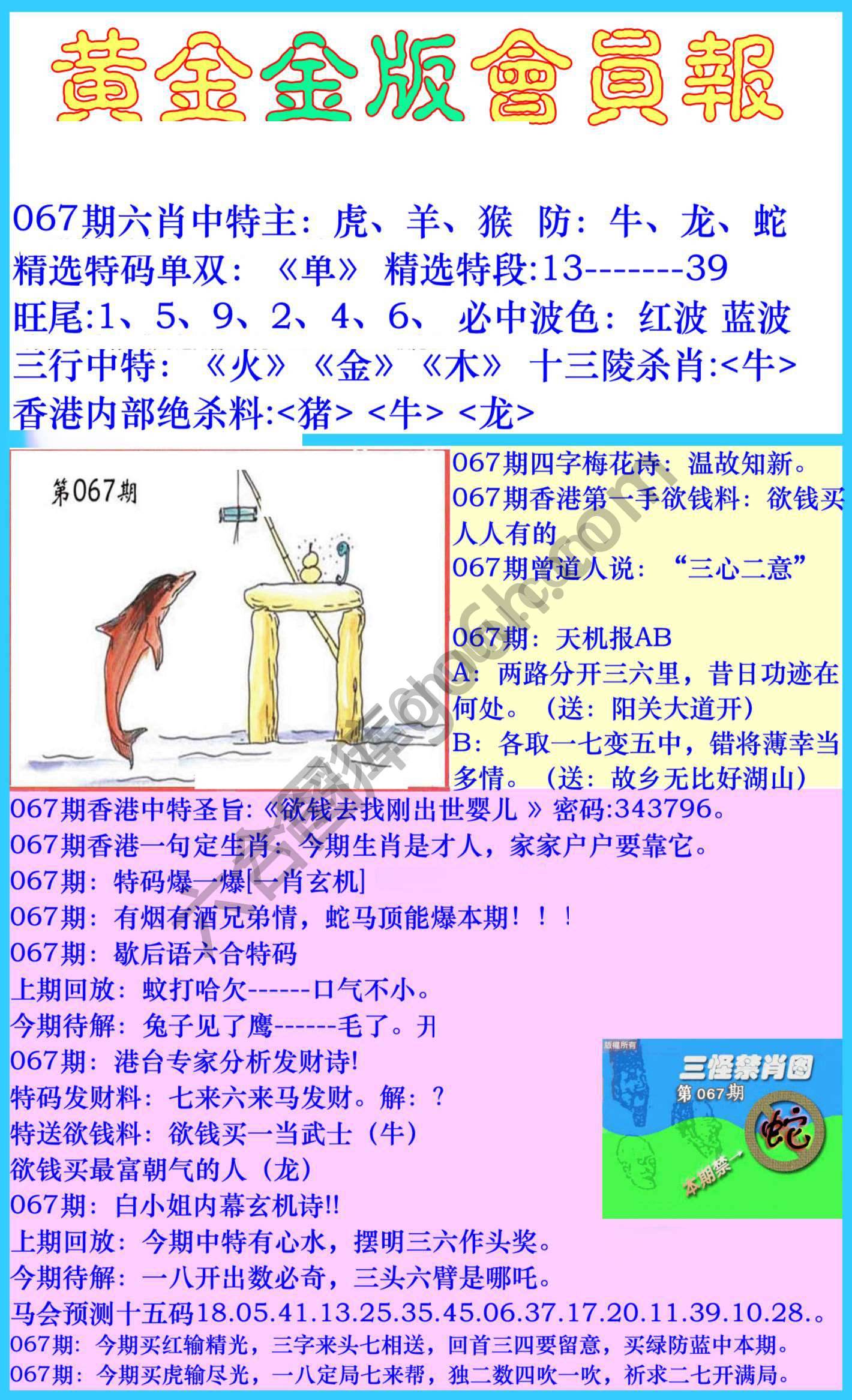 黄金金版会员报