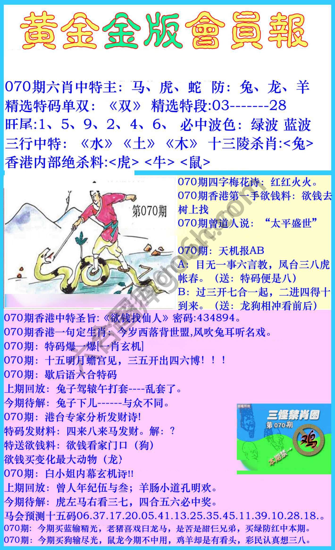 黄金金版会员报