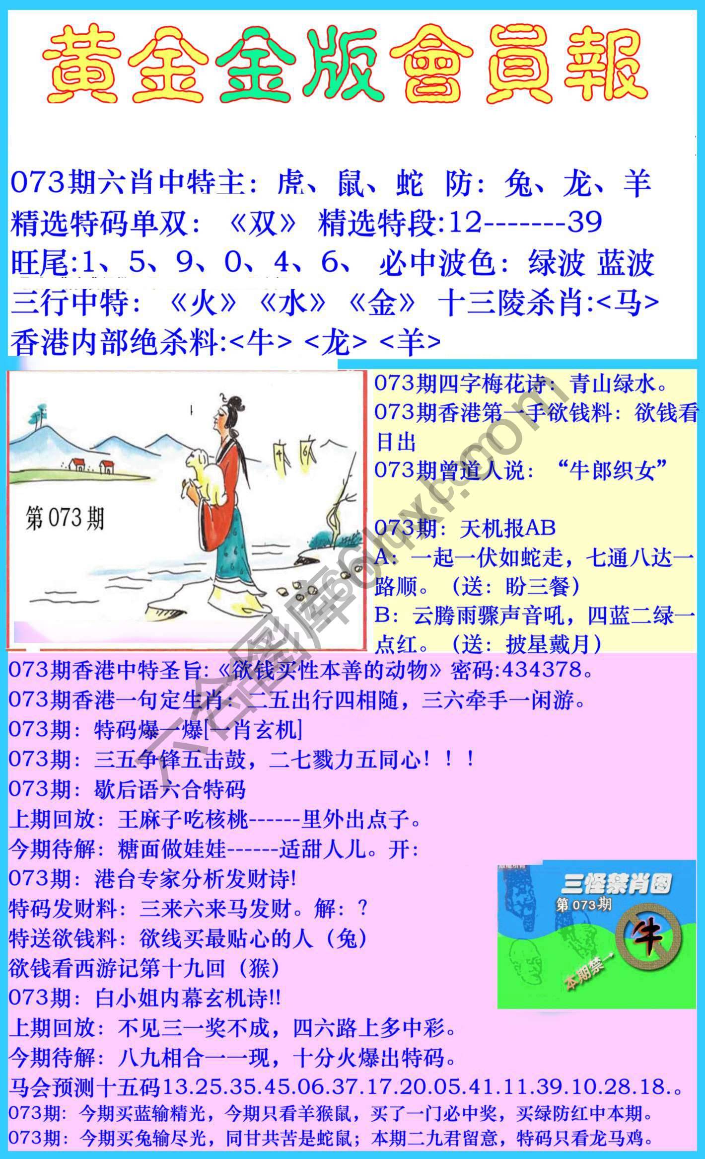 黄金金版会员报