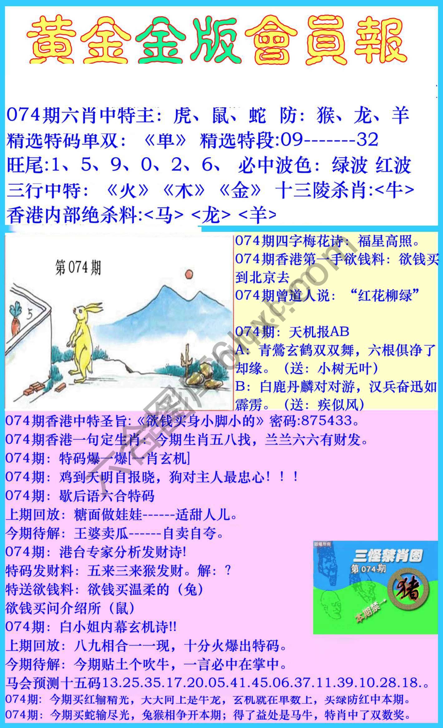 黄金金版会员报