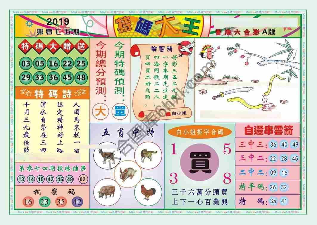 特码大王