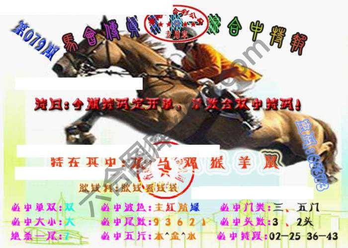 马会传真综合报