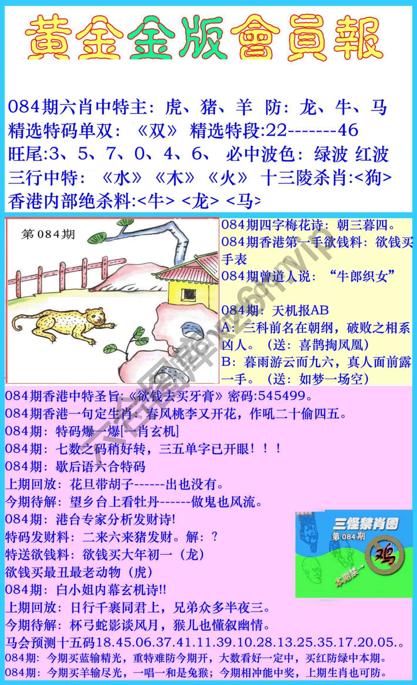 黄金金版会员报