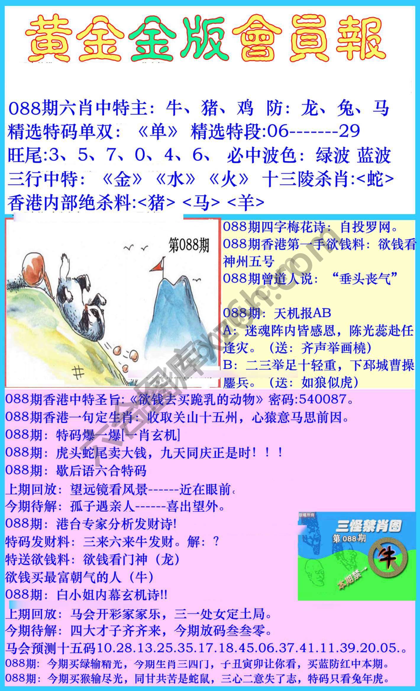 黄金金版会员报