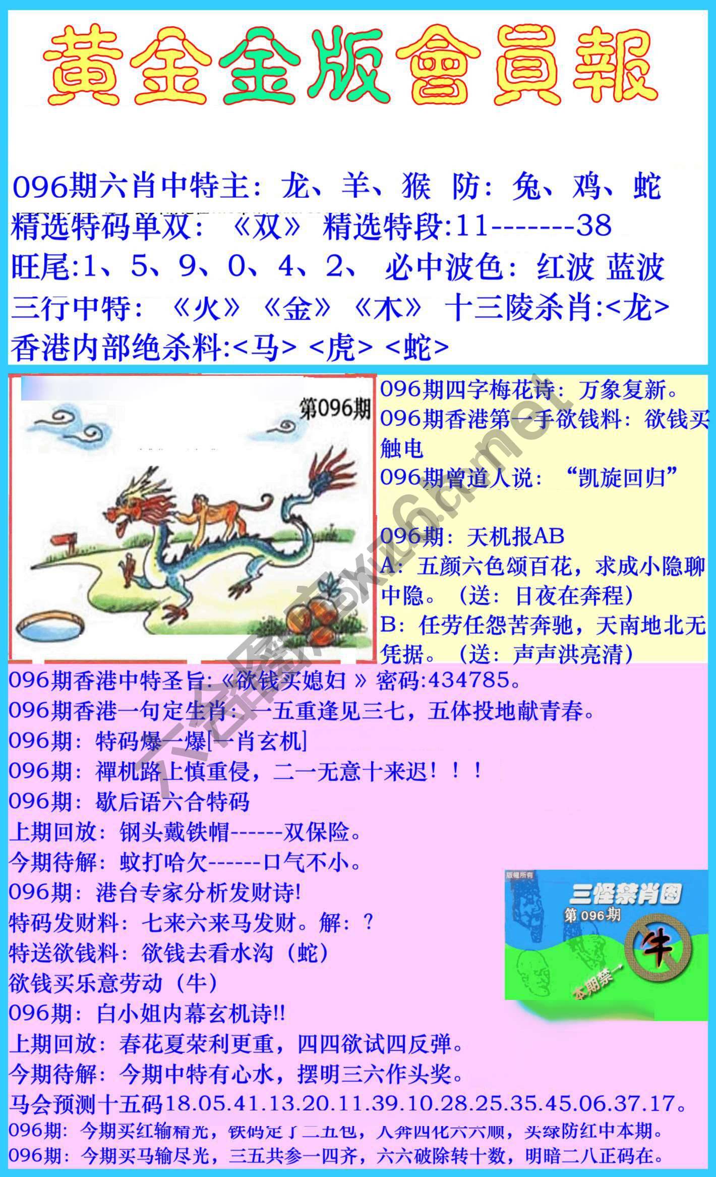 黄金金版会员报