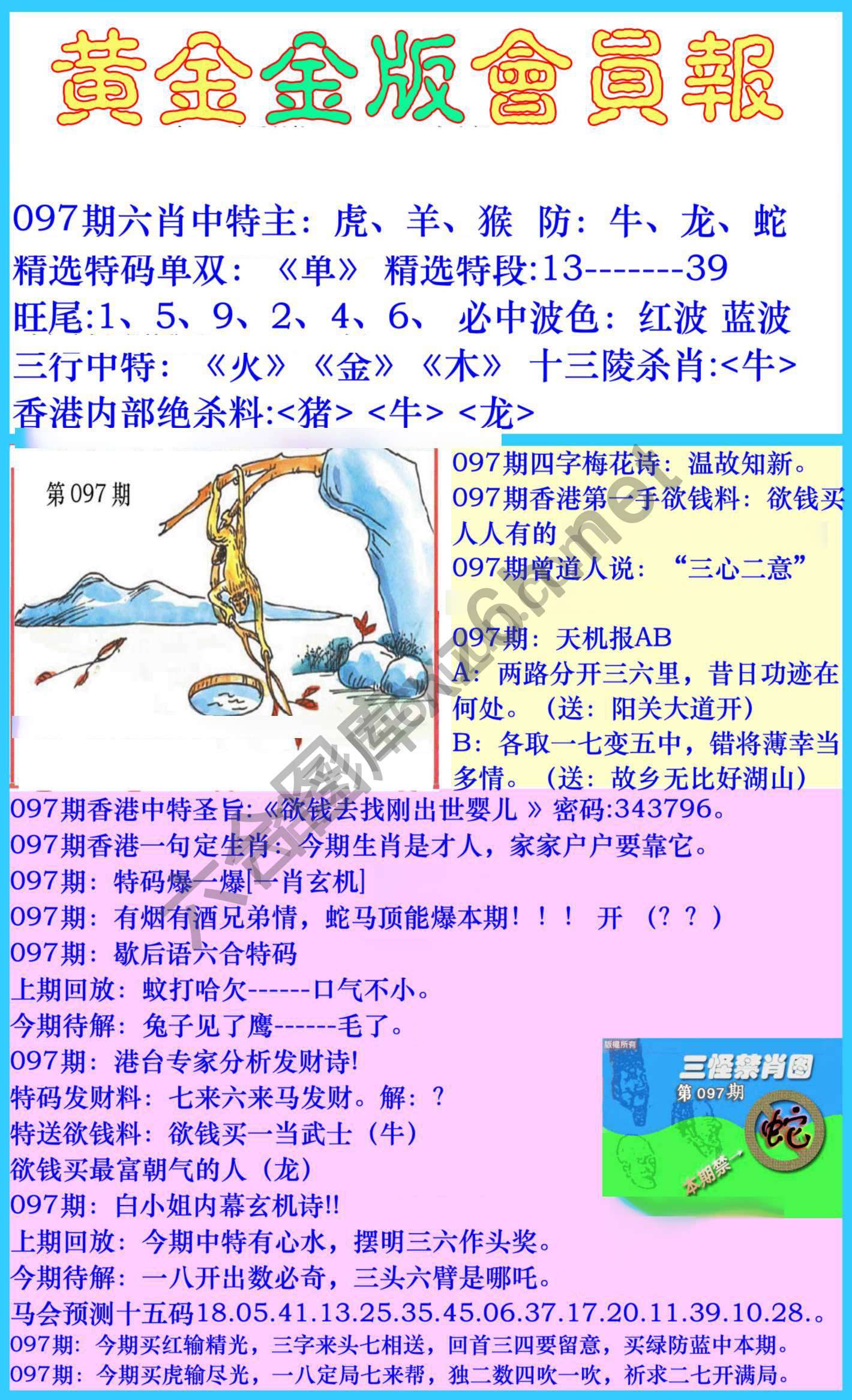 黄金金版会员报