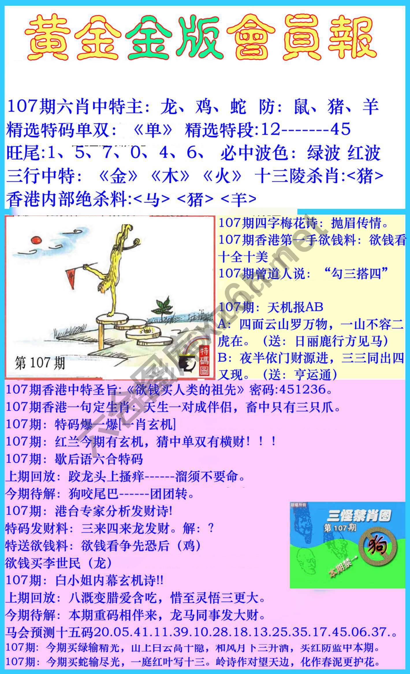 黄金金版会员报