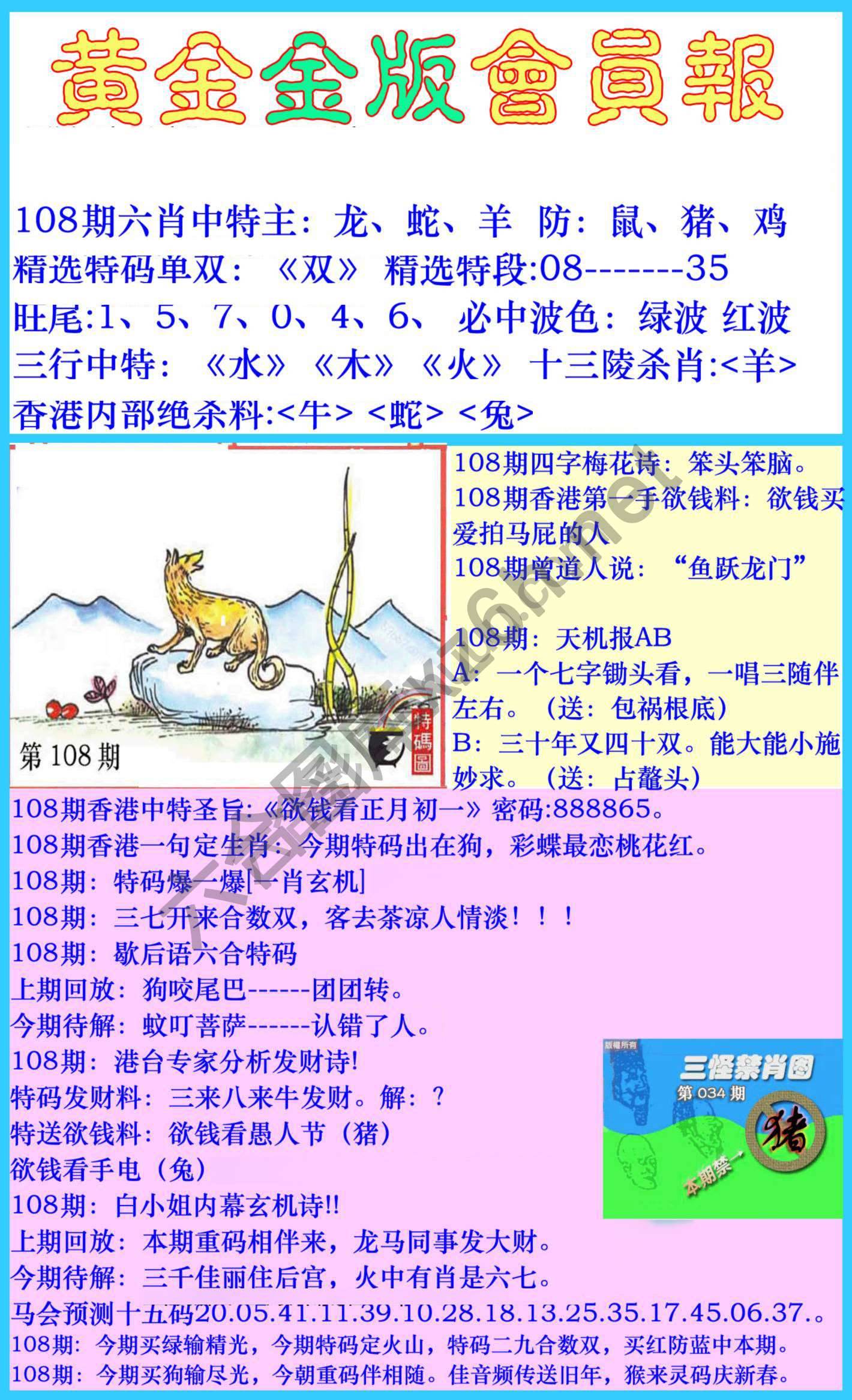 黄金金版会员报