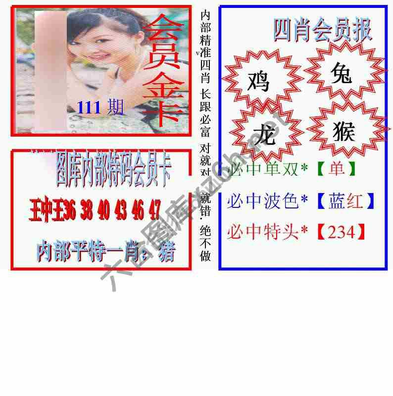 马经四肖会员报