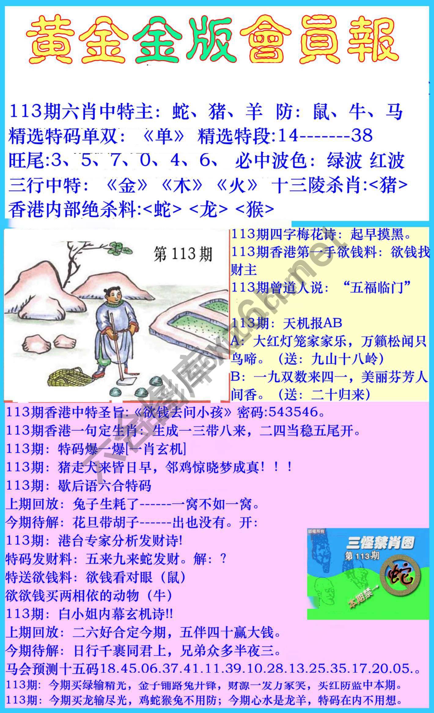 黄金金版会员报