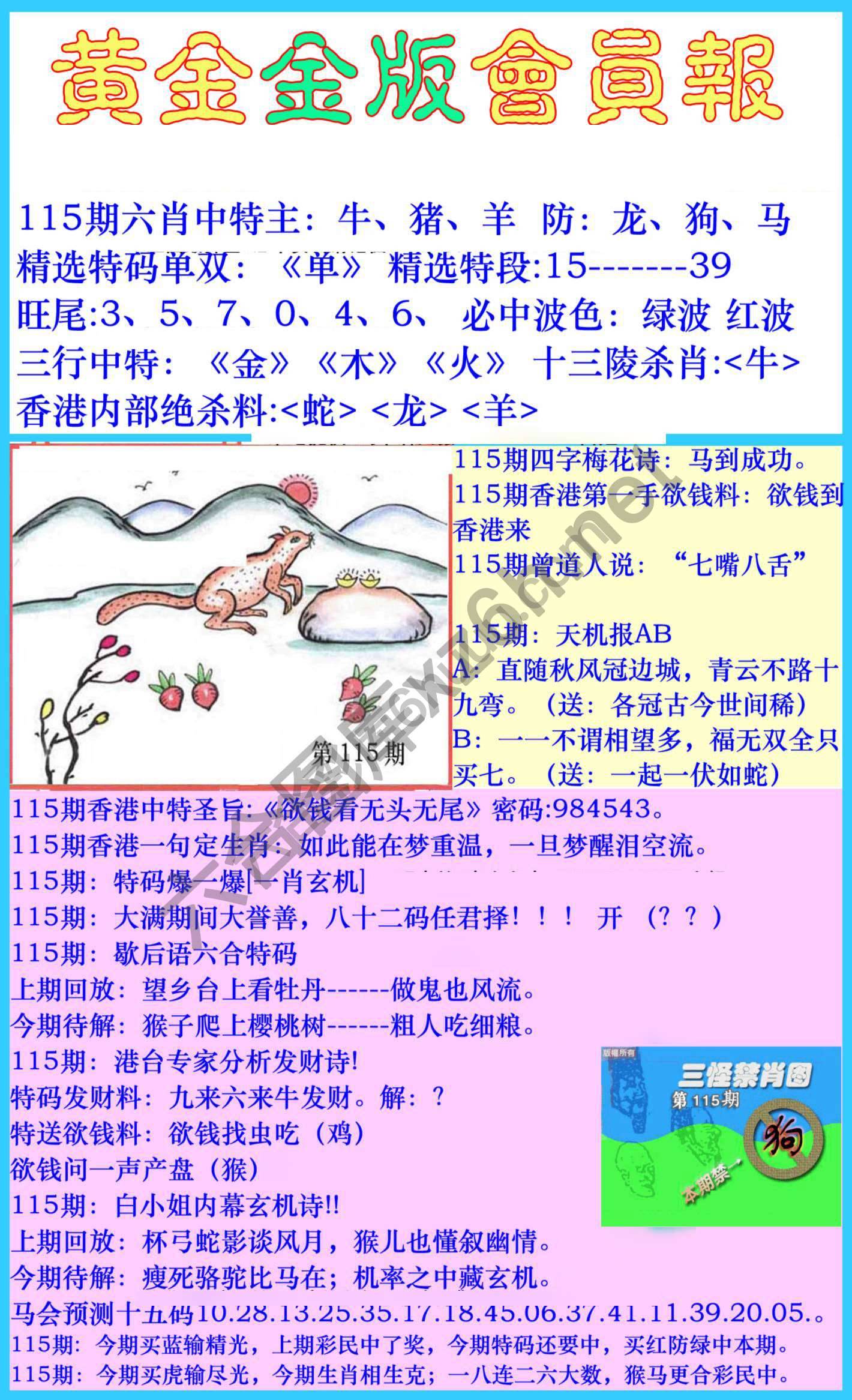 黄金金版会员报