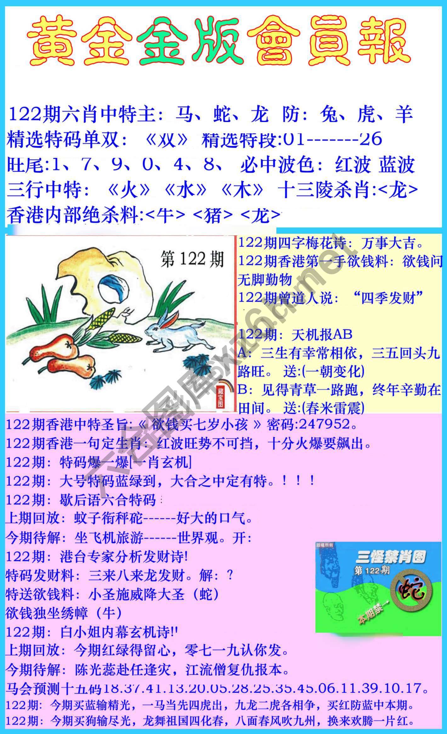 黄金金版会员报