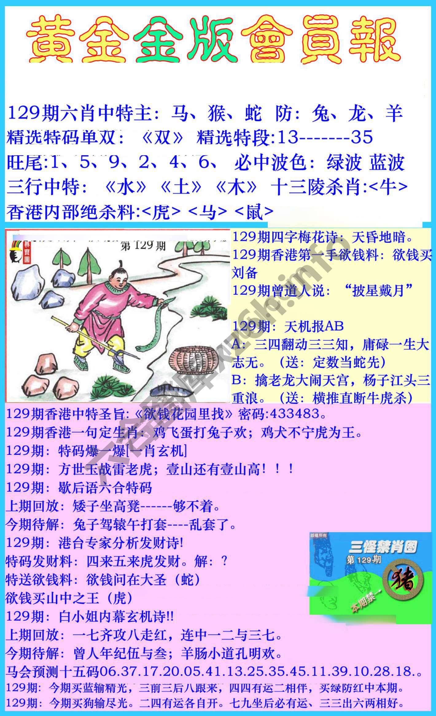 黄金金版会员报