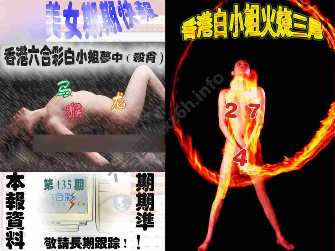环球美女特码报