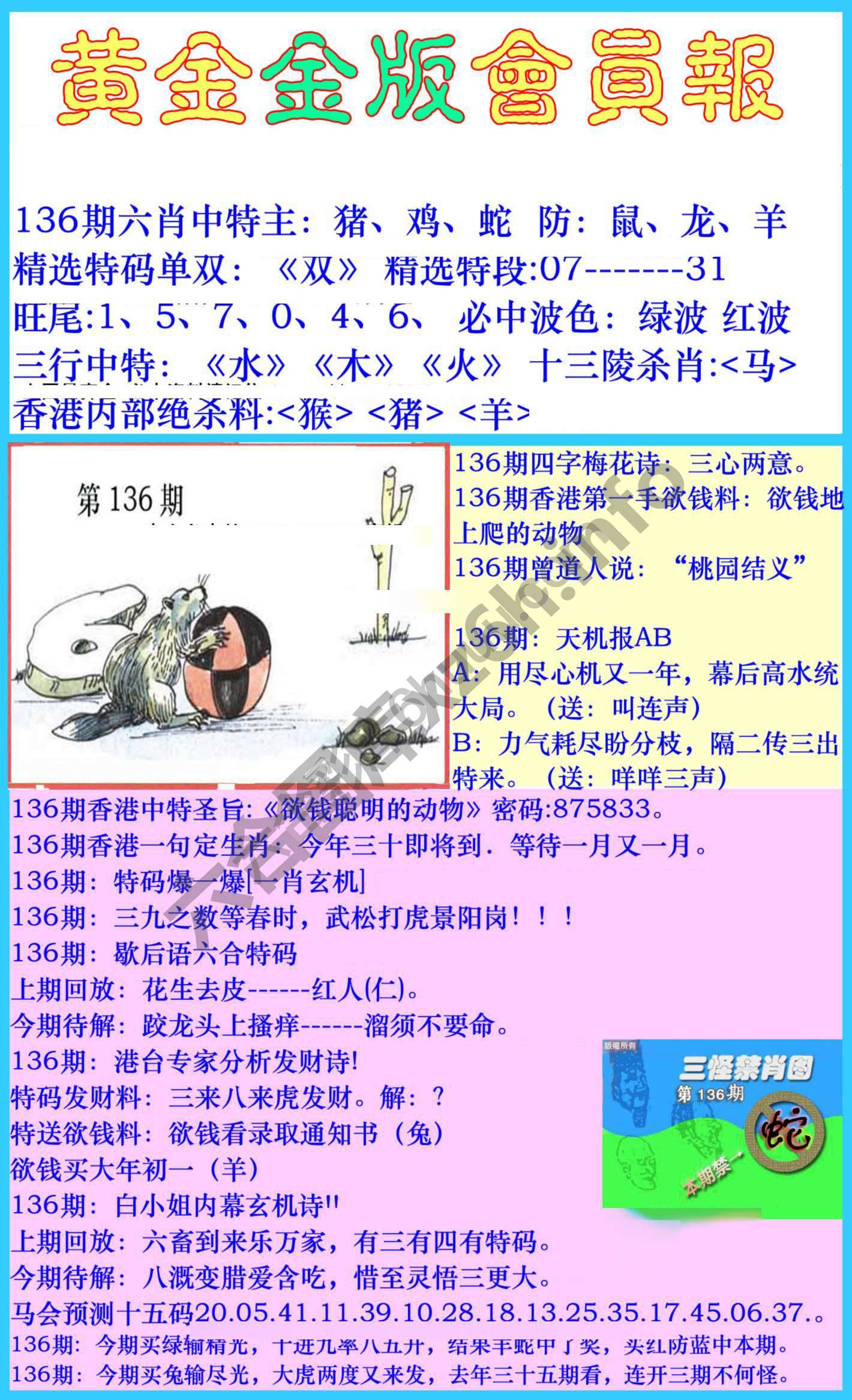 黄金金版会员报