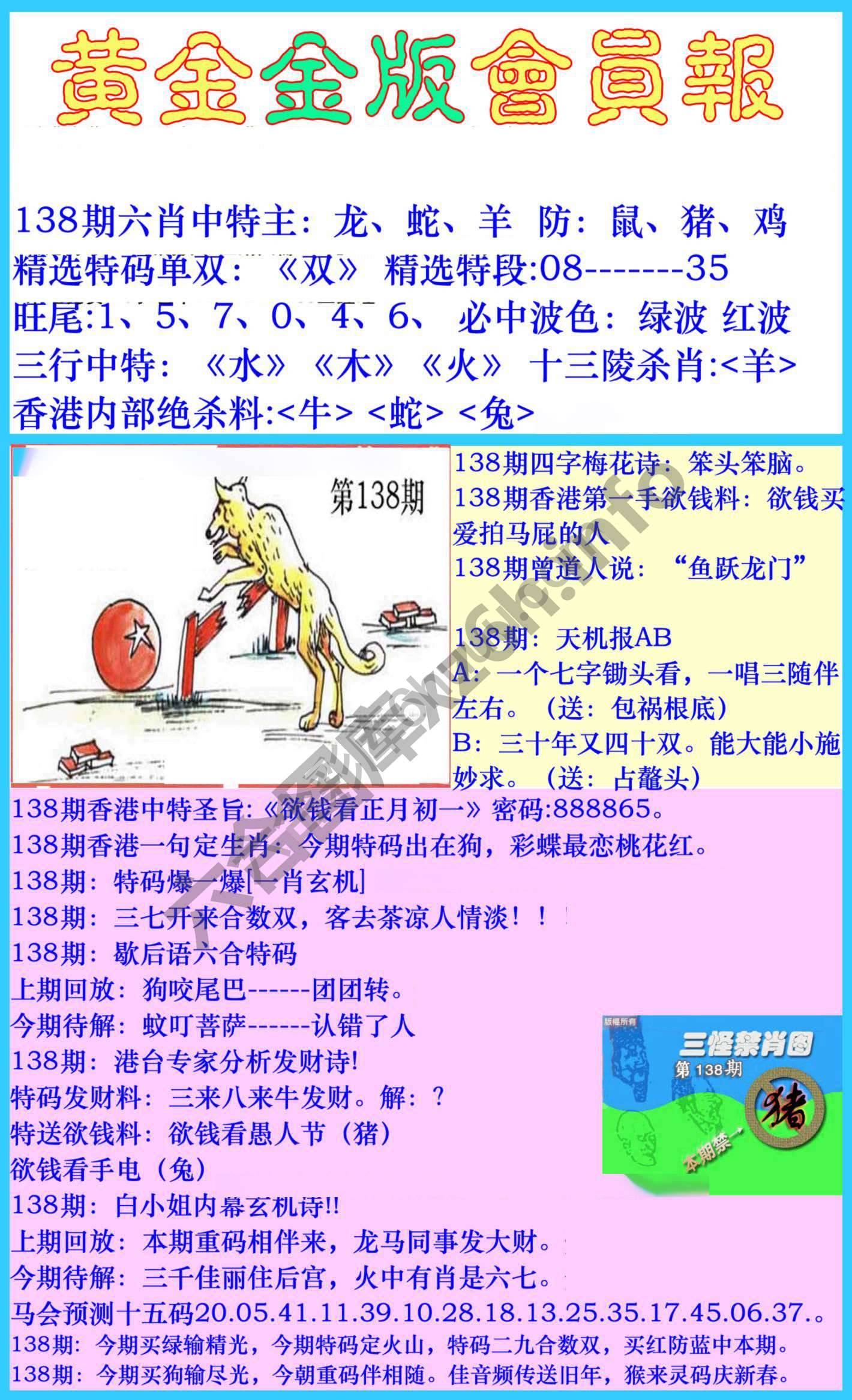 黄金金版会员报