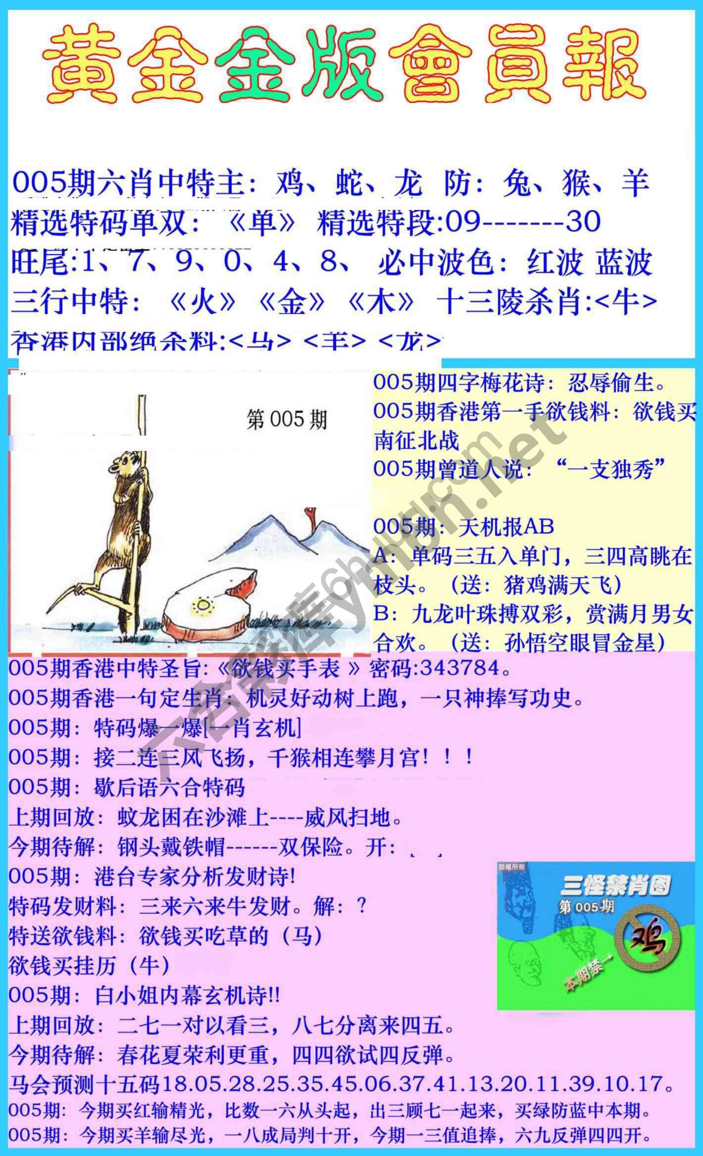 黄金金版会员报