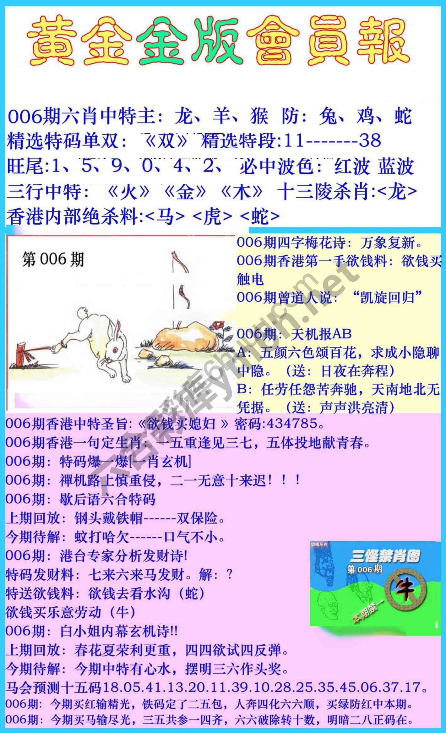 黄金金版会员报