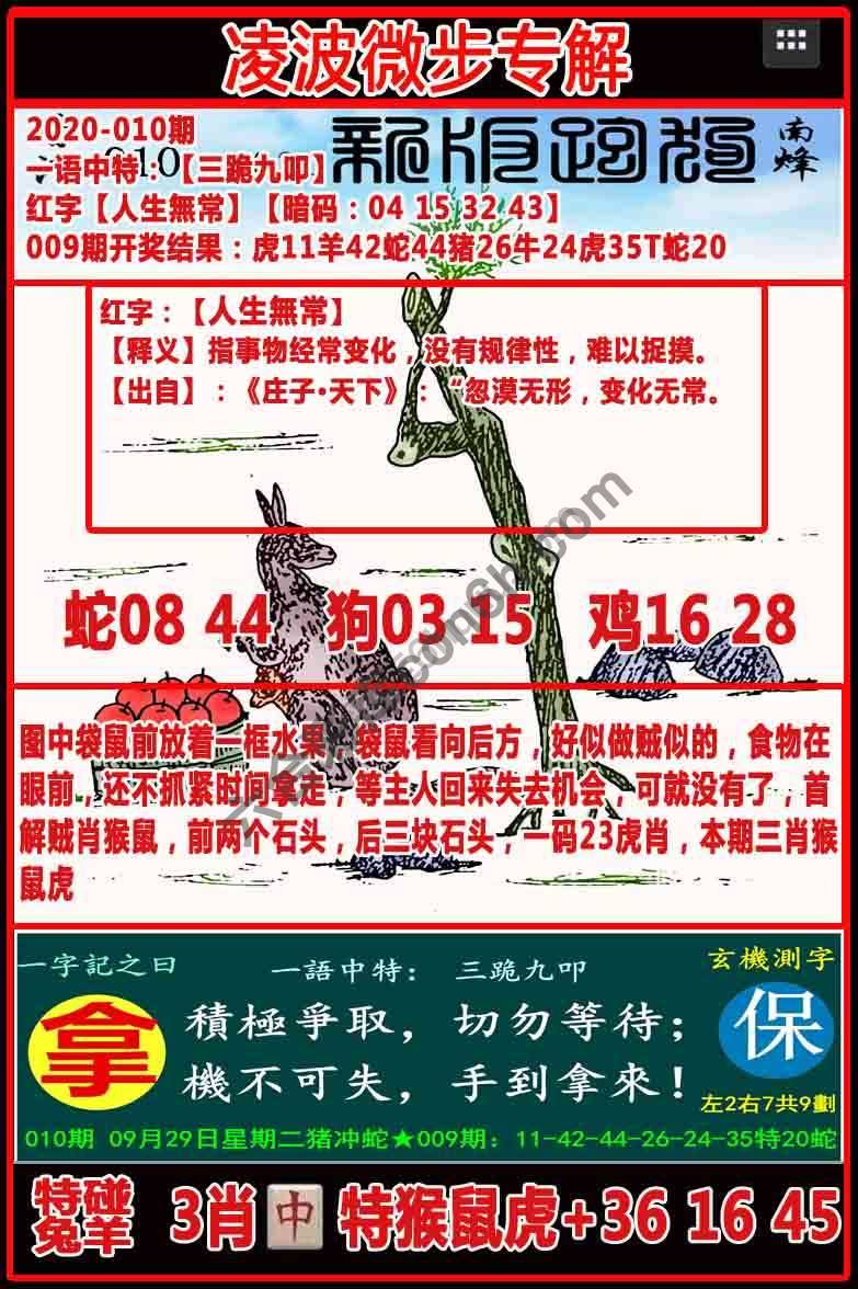 凌波微步解跑狗