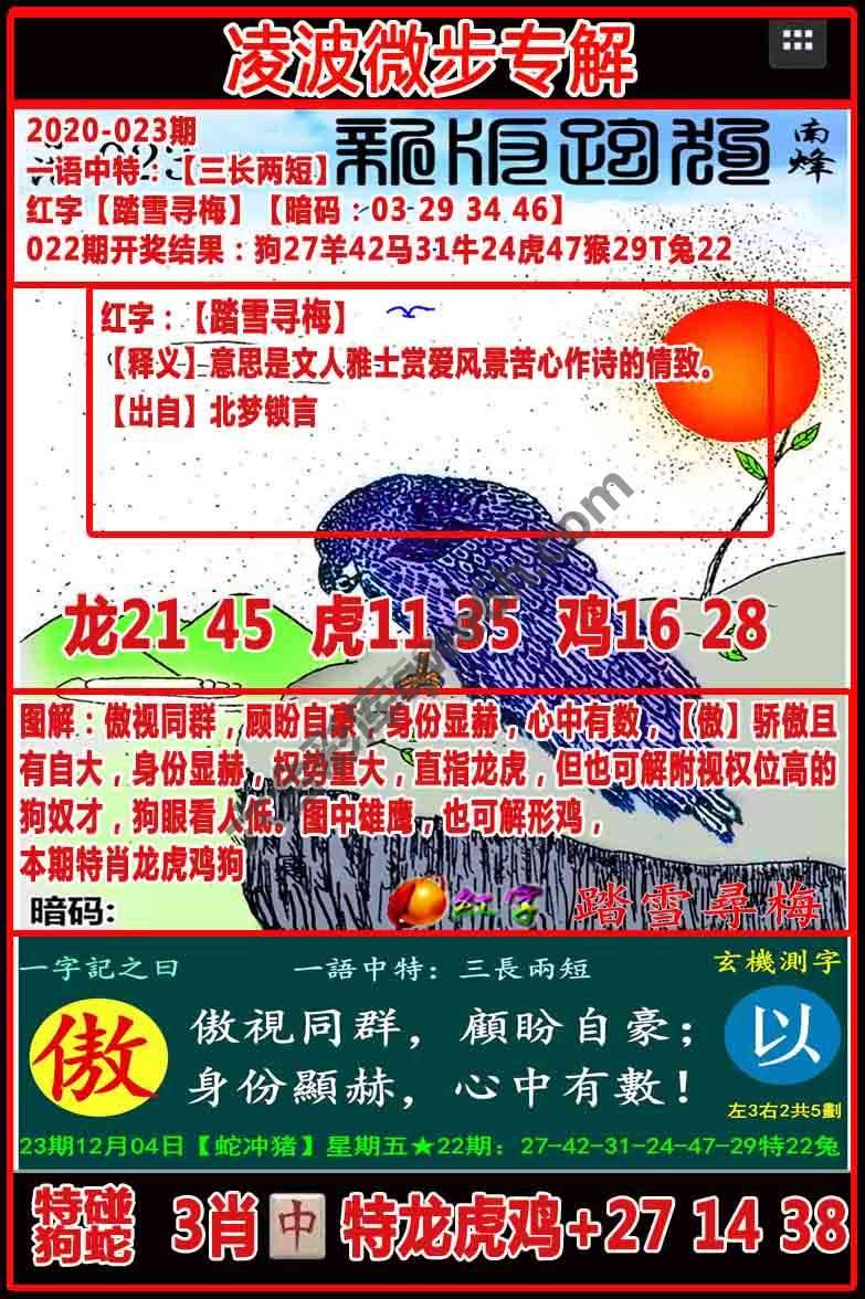 凌波微步解跑狗