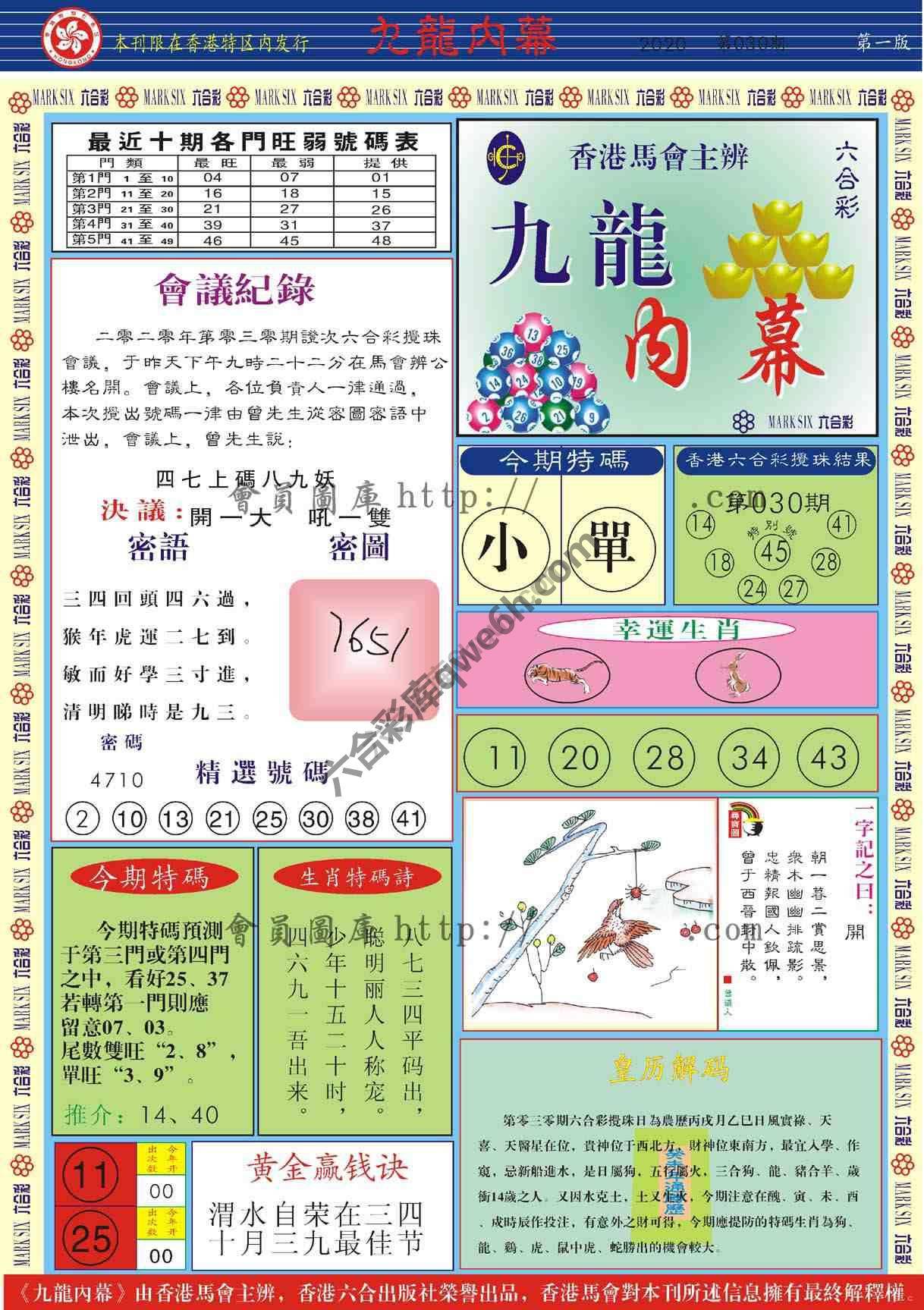 九龙内幕