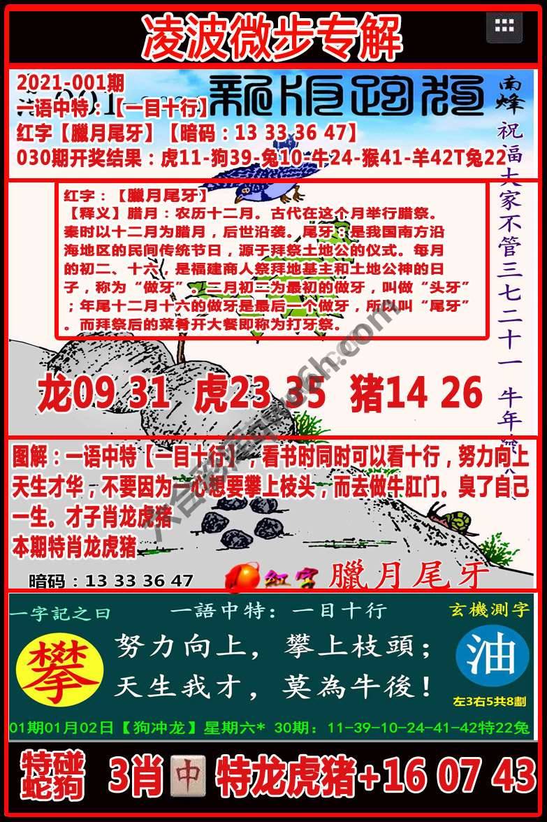 凌波微步解跑狗