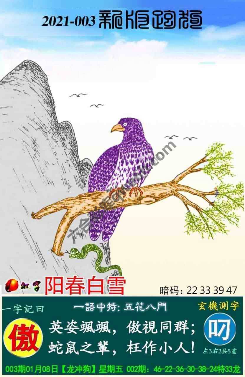 跑狗图（新版）