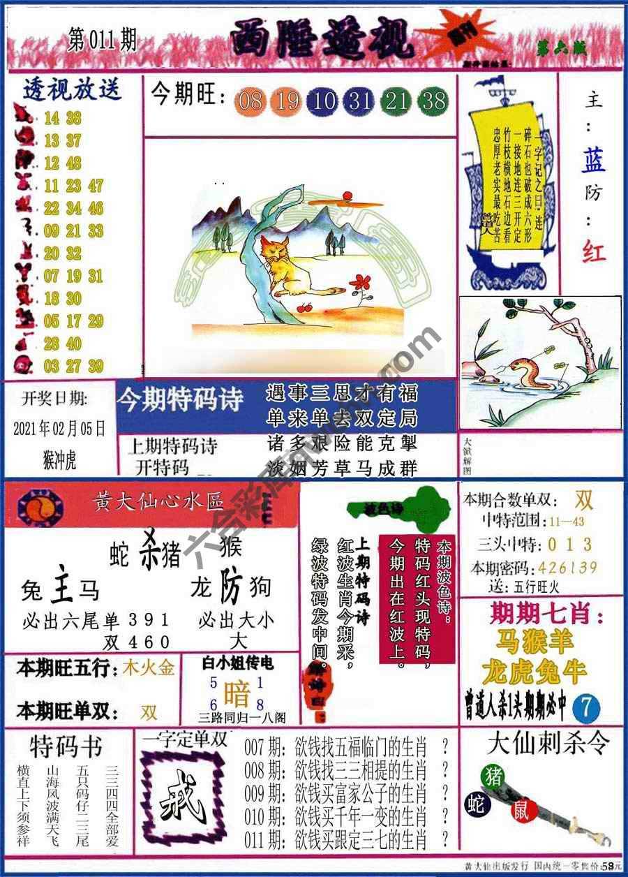 西陲透视（正版）