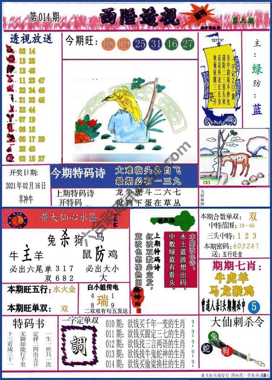 西陲透视（正版）