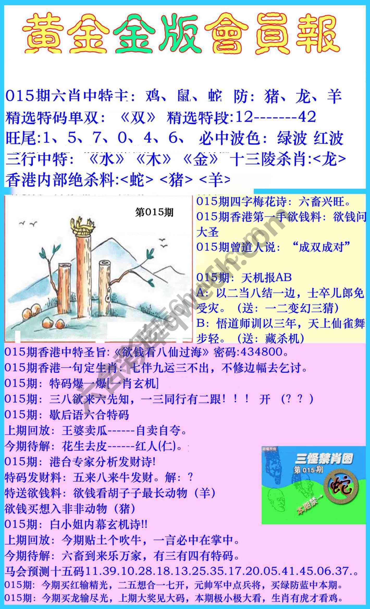 黄金金版会员报