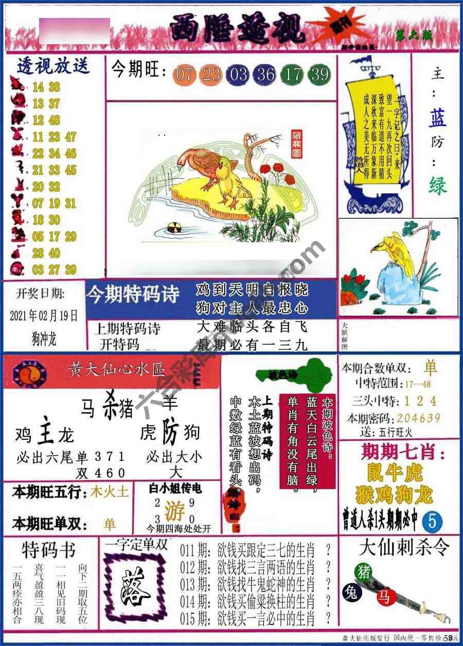 西陲透视（正版）