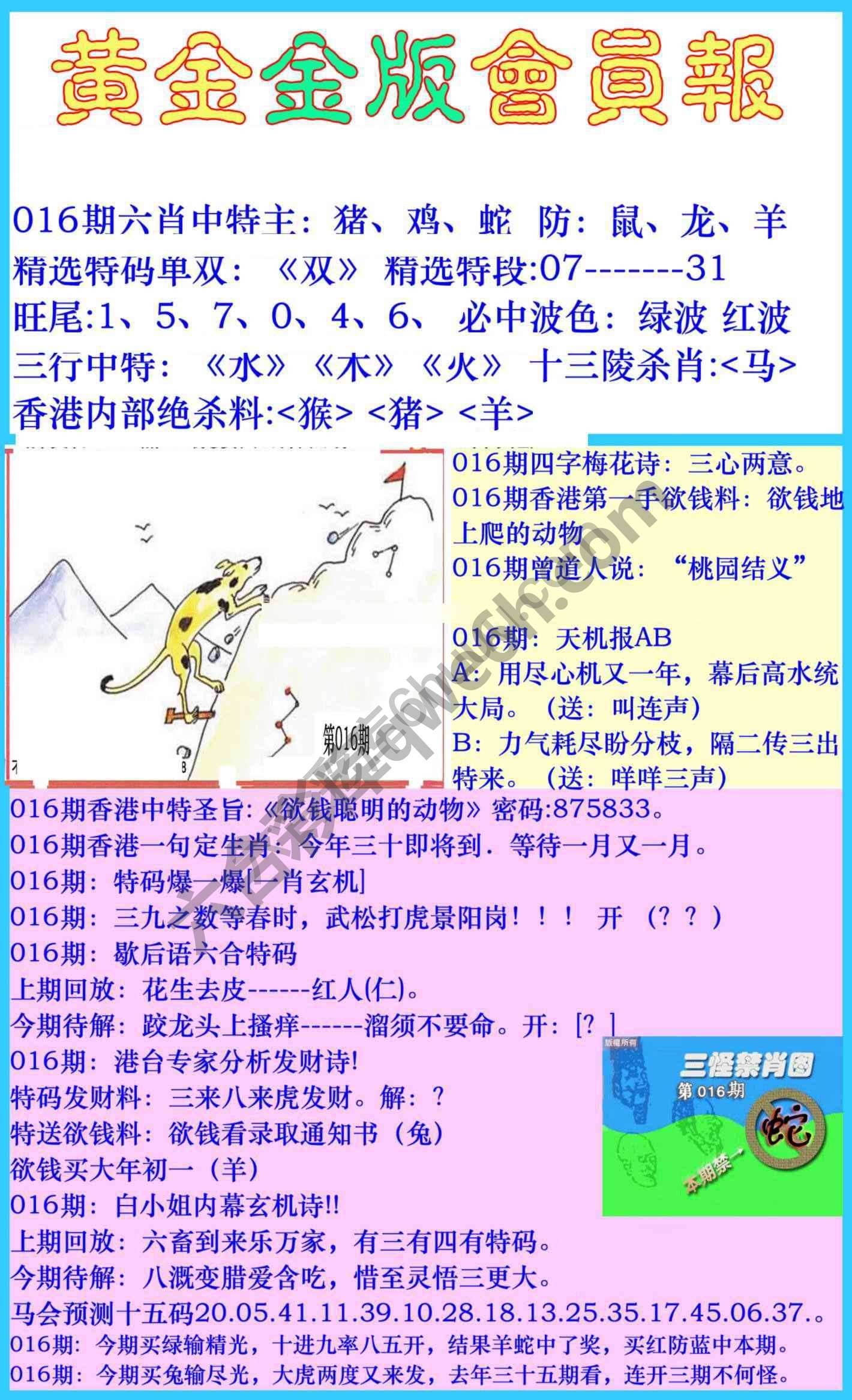 黄金金版会员报