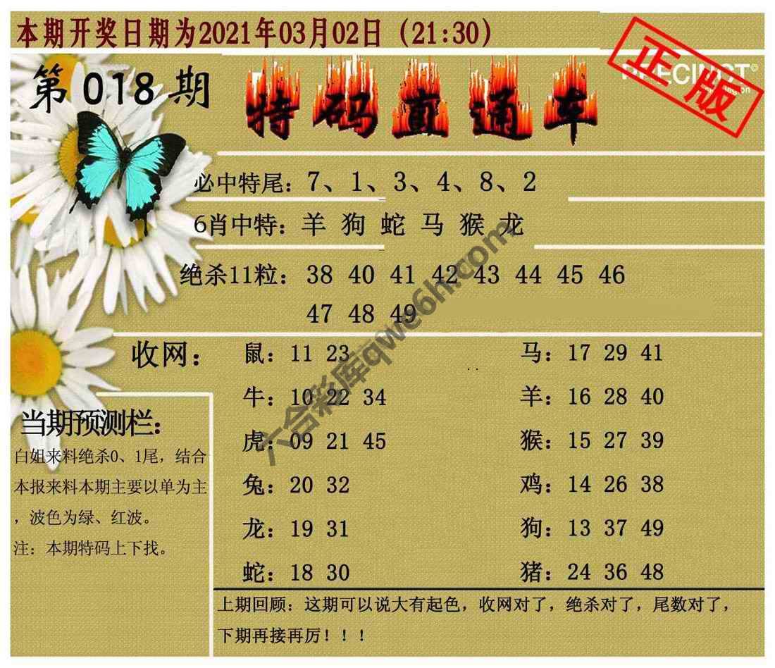 特码直通车