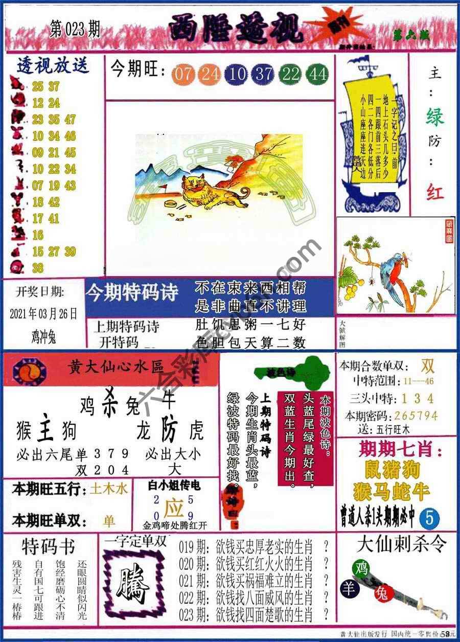 西陲透视（正版）