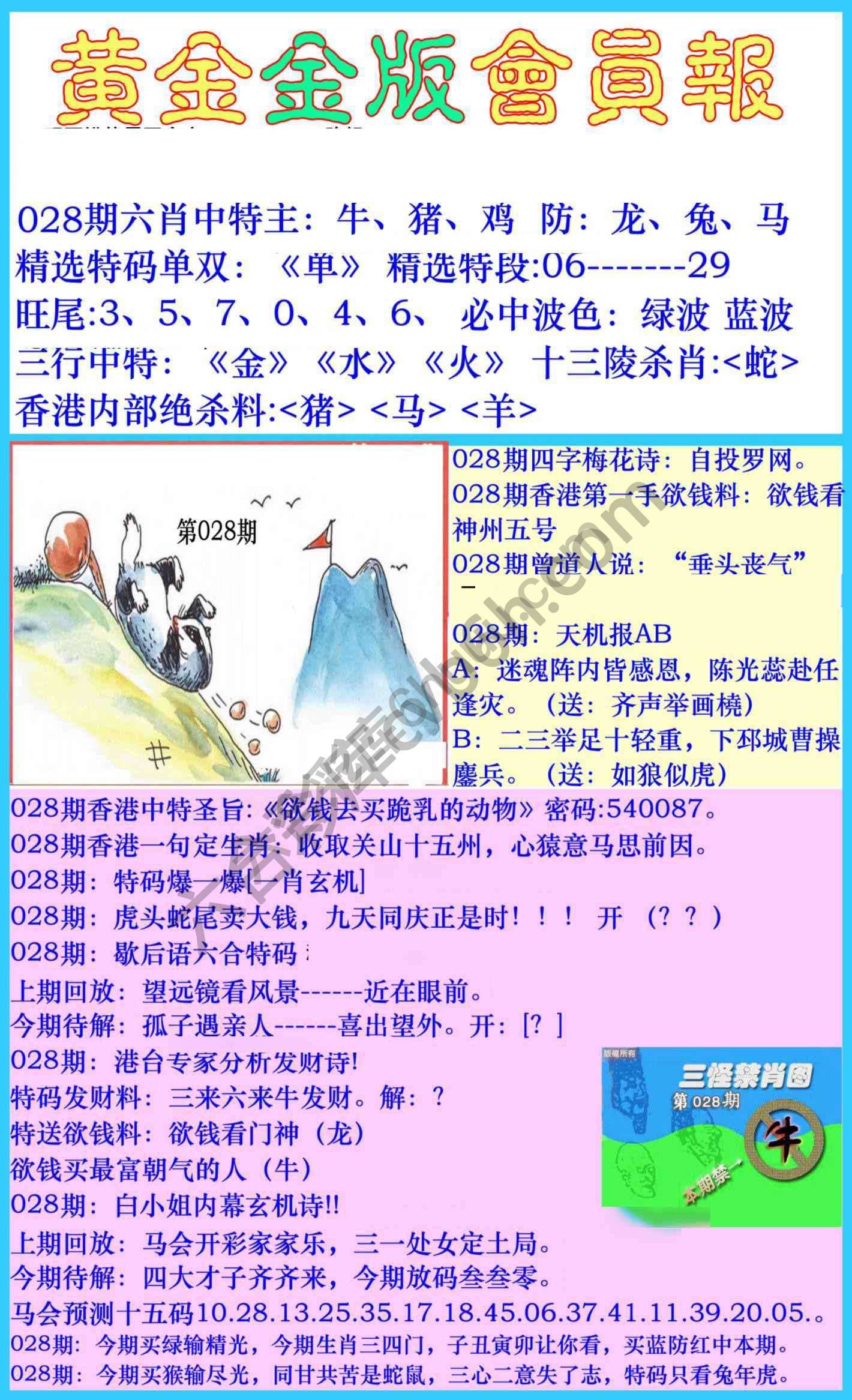 黄金金版会员报