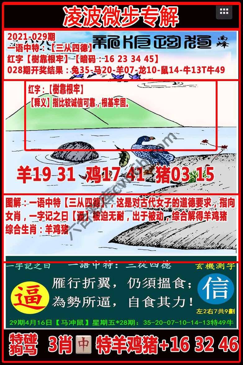 凌波微步解跑狗