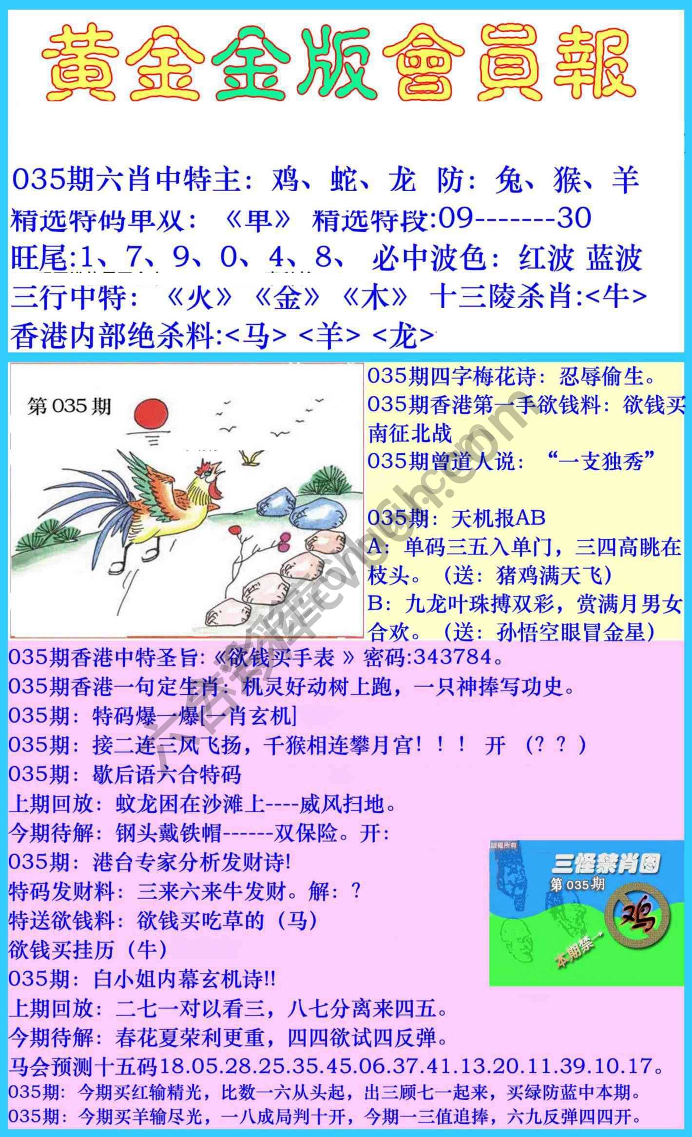 黄金金版会员报