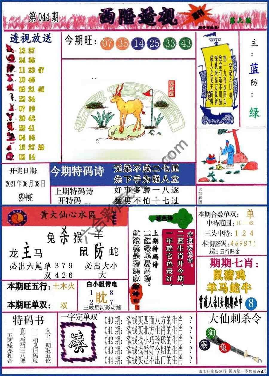 西陲透视（正版）