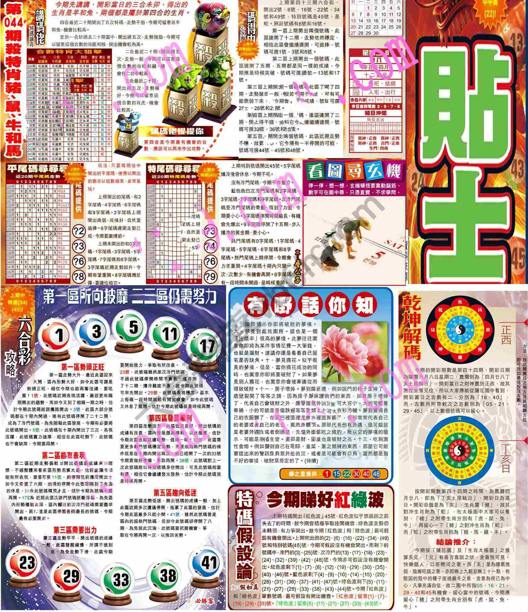 大版贴士皇