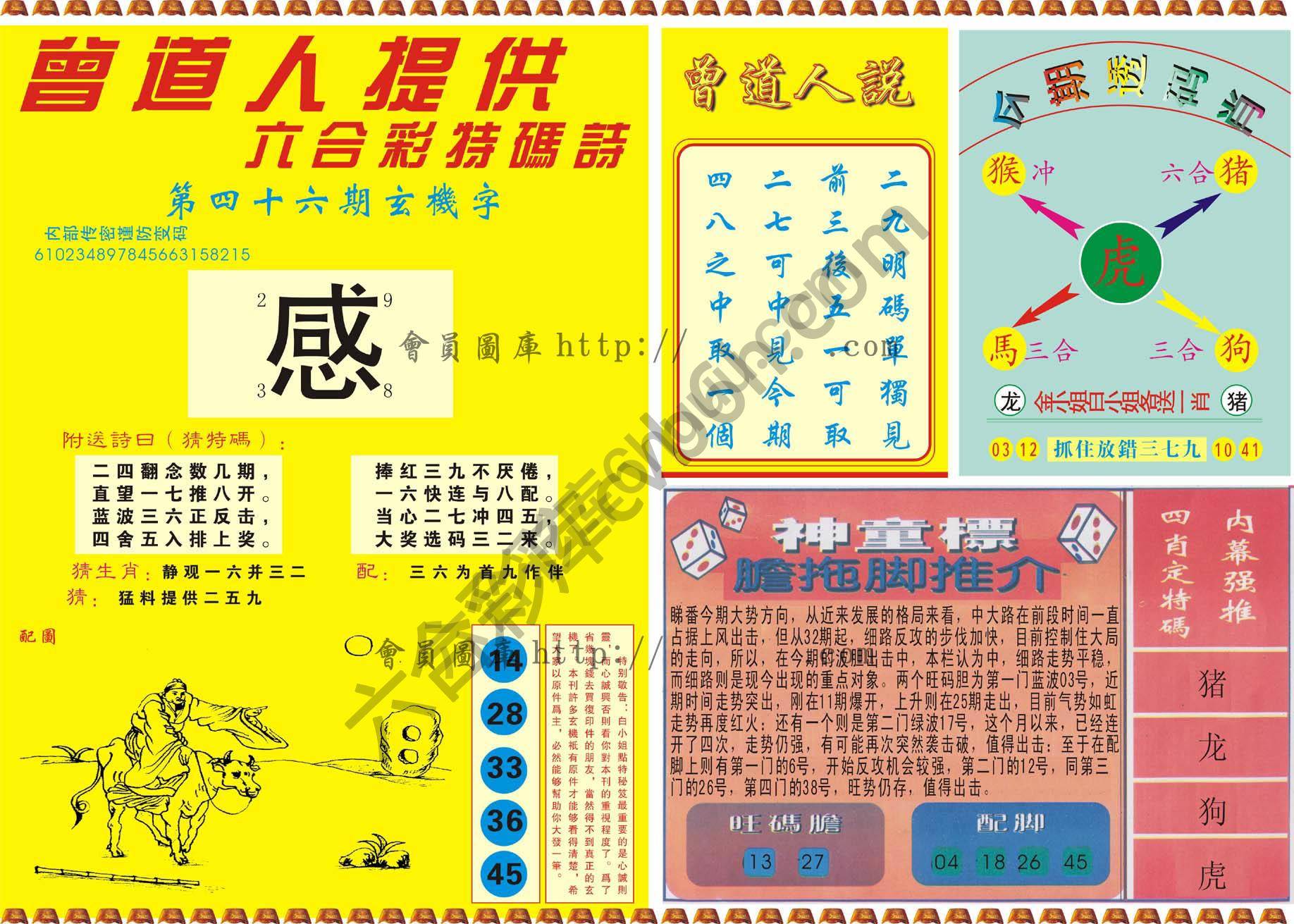 曾道人内幕玄机