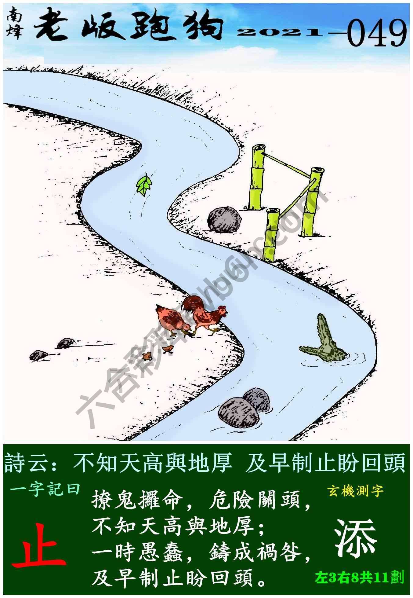 老版跑狗图