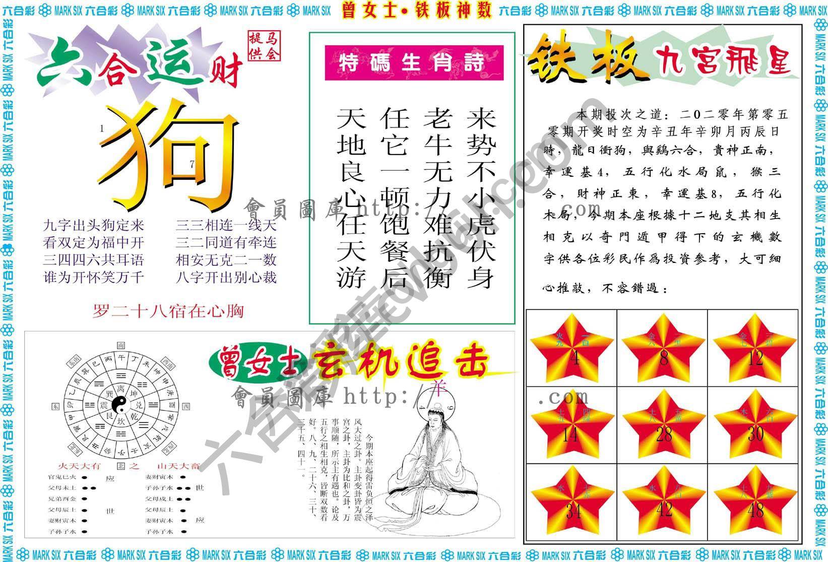 曾女士铁板神数