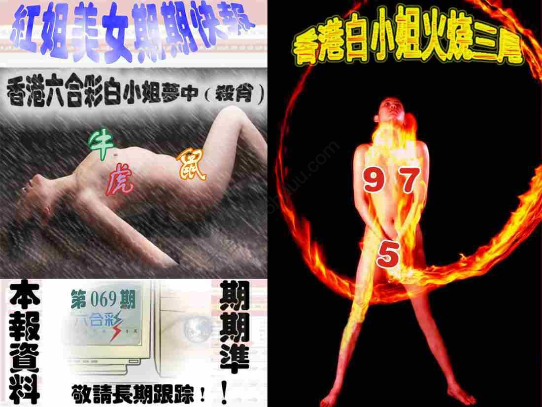 环球美女特码报