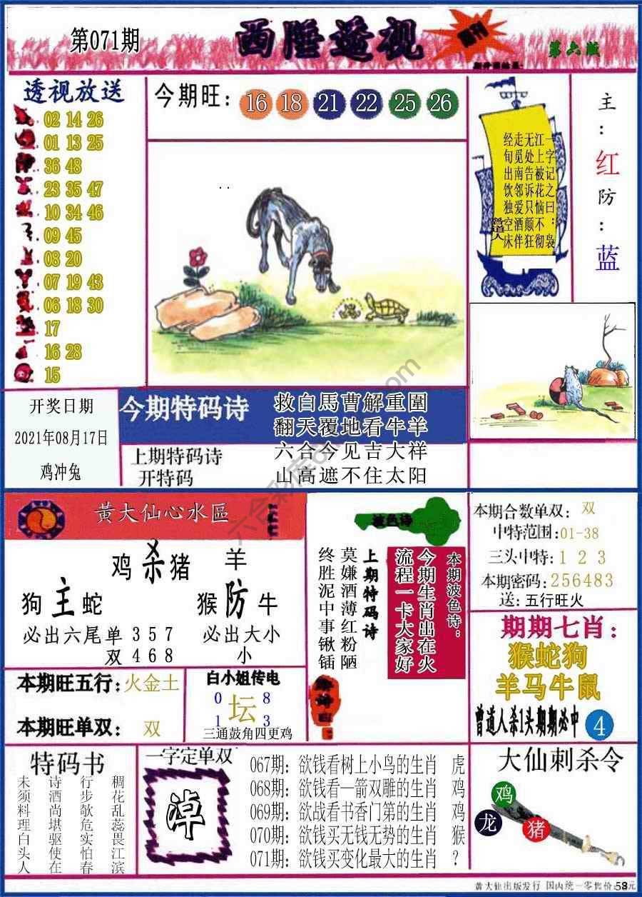 西陲透视（正版）