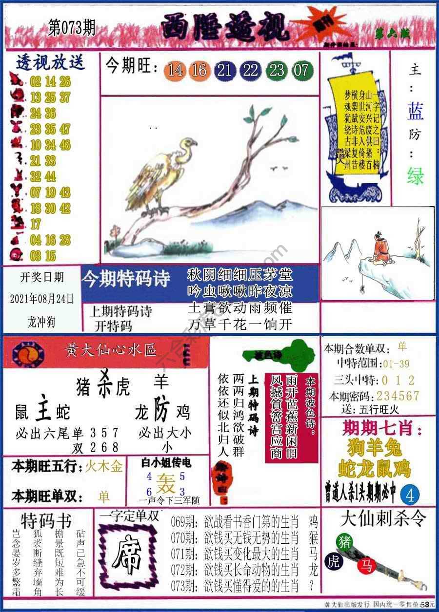 西陲透视（正版）